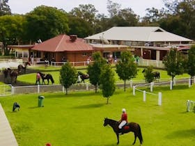 Corowa Race Club - Melbourne Cup Eve