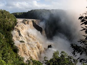 Barron Falls (Din Din)