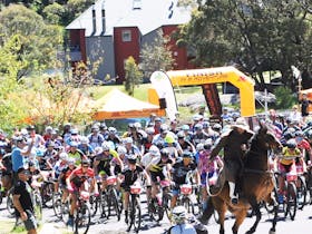 Snowies MTB Festival