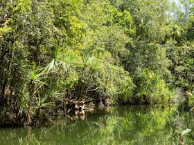 Berry Springs Nature Park