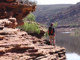 Mount Dale Walk Trail