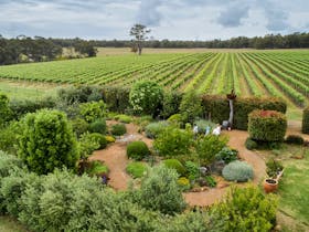 Whicher Ridge Wines