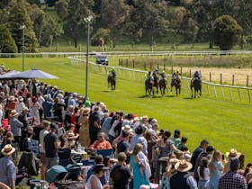 Healesville Picnic Races - Healesville Cup