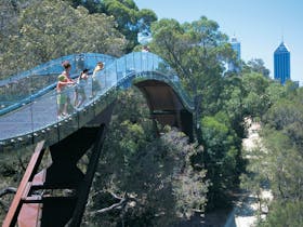 Law Walk - Kings Park