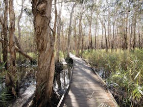 Burrum Coast National Park