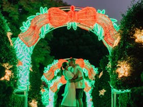 Christmas Lights Spectacular at Hunter Valley Gardens