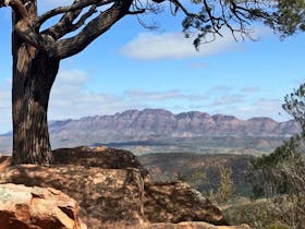 Heysen Trail