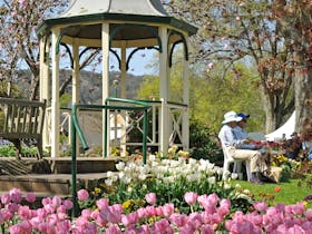 Tulip Time Festival