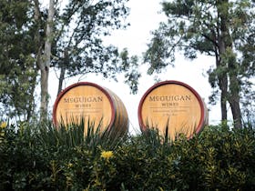 McGuigan Wines Cellar Door