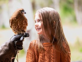 Capes Raptor Centre