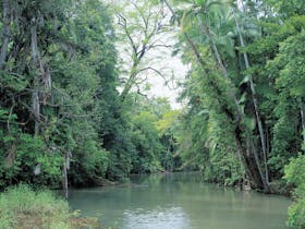 Conway National Park