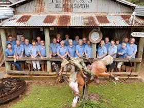 Mareeba Heritage Museum