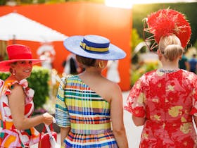 Caulfield Cup / Everest Raceday Presented by Attwood Marshall Lawyers