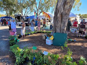 Willunga Quarry Market