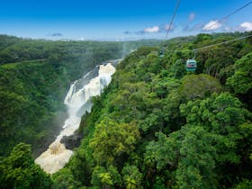 Skyrail Rainforest Cableway