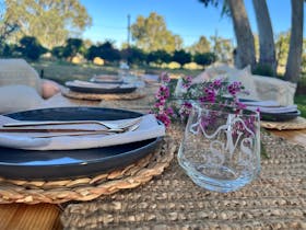 Yoga with Camels and Luxury Picnic