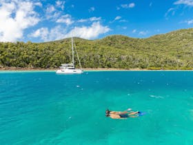 Butterfly Bay - Hook Island