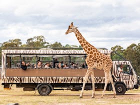 Taronga Western Plains Zoo, Dubbo