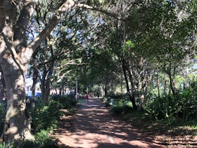 Hervey Bay Recreation Pathways