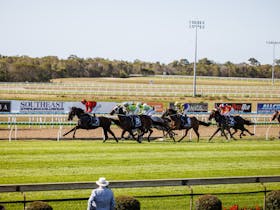 Sunshine Coast Turf Club