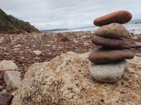 Fossil Beach