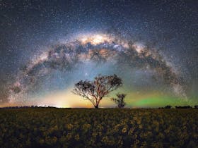 Hervey Bay Milky Way Masterclass