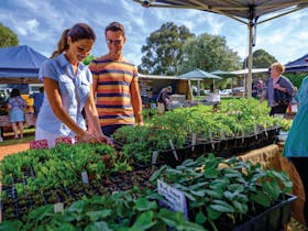 Margaret River Farmers Market