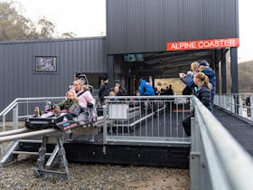 Thredbo Alpine Coaster