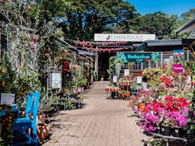 Limberlost Garden Centre