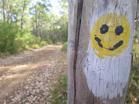 Wadandi Track, Margaret River