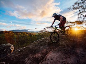 Wild Mersey Mountain Bike Trails