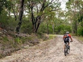 Cawleys Road trail