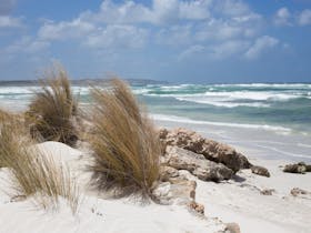 Bales Beach