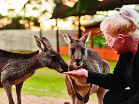 Moonlit Sanctuary Wildlife Conservation Park