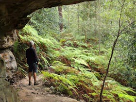 Dharug National Park