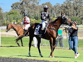 Corowa Race Club Holiday Celebration Meet