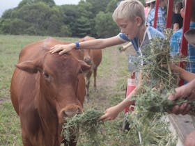 Kur-Cow Barnwell Farm