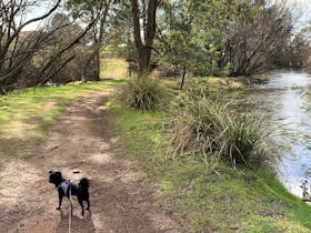 Wild Wood Nature Trail