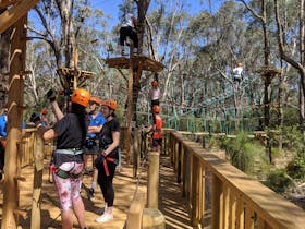 Treetops Adventure Yanchep