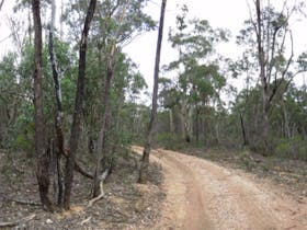 Paddys Ranges State Park