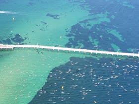 Busselton Jetty Swim