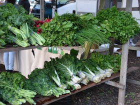 Bellingen Plant Fair