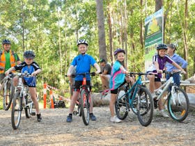 Jacks Ridge Mountain Bike Track Nambucca Heads