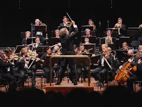 West Australian Symphony Orchestra