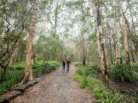 Venman Bushland National Park