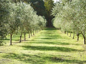 Tom Cullity Drive, Margaret River Gourmet Food and Wine Trail