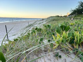 Shifting Shores: Bribie’s Beautiful Beaches