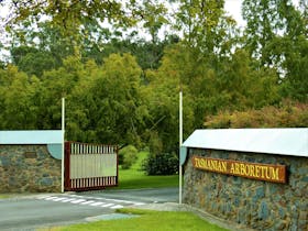 The Tasmanian Arboretum