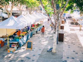 Coffs Coast Growers Market