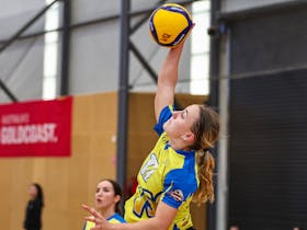 2024 Volleyball Queensland Senior State Championships